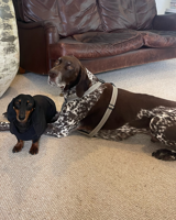 Outspoken Website Images (5)